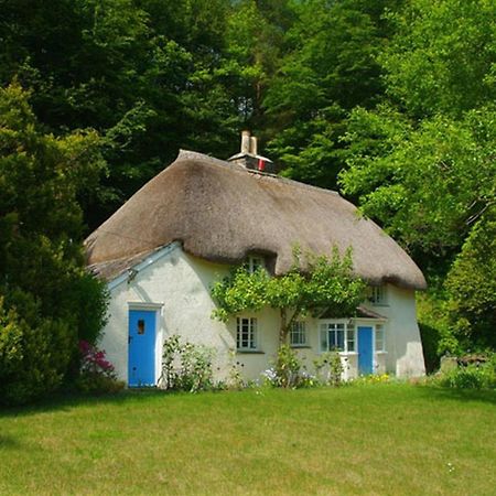 Lew Quarry Cottage Lewdown Exterior photo